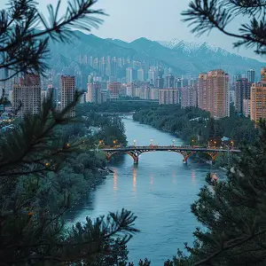 wifi电脑版什么好